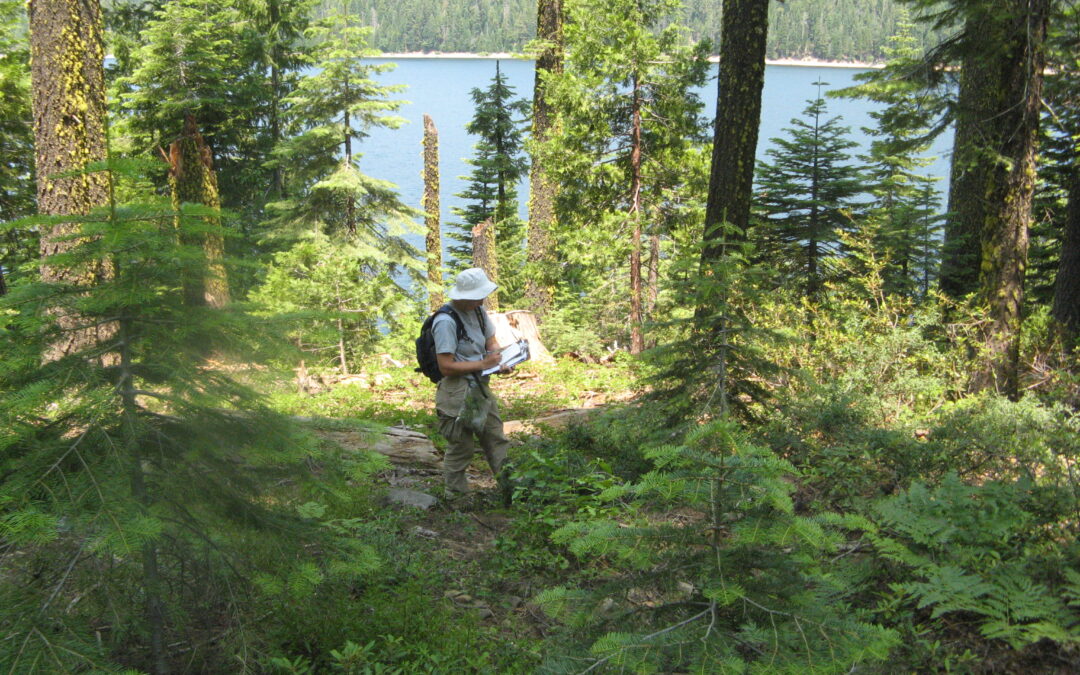 Middle Fork American River Project Relicensing and License Compliance