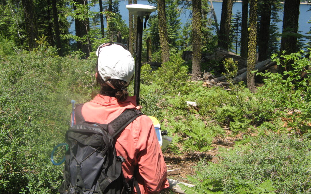 Environmental Training & Program Development