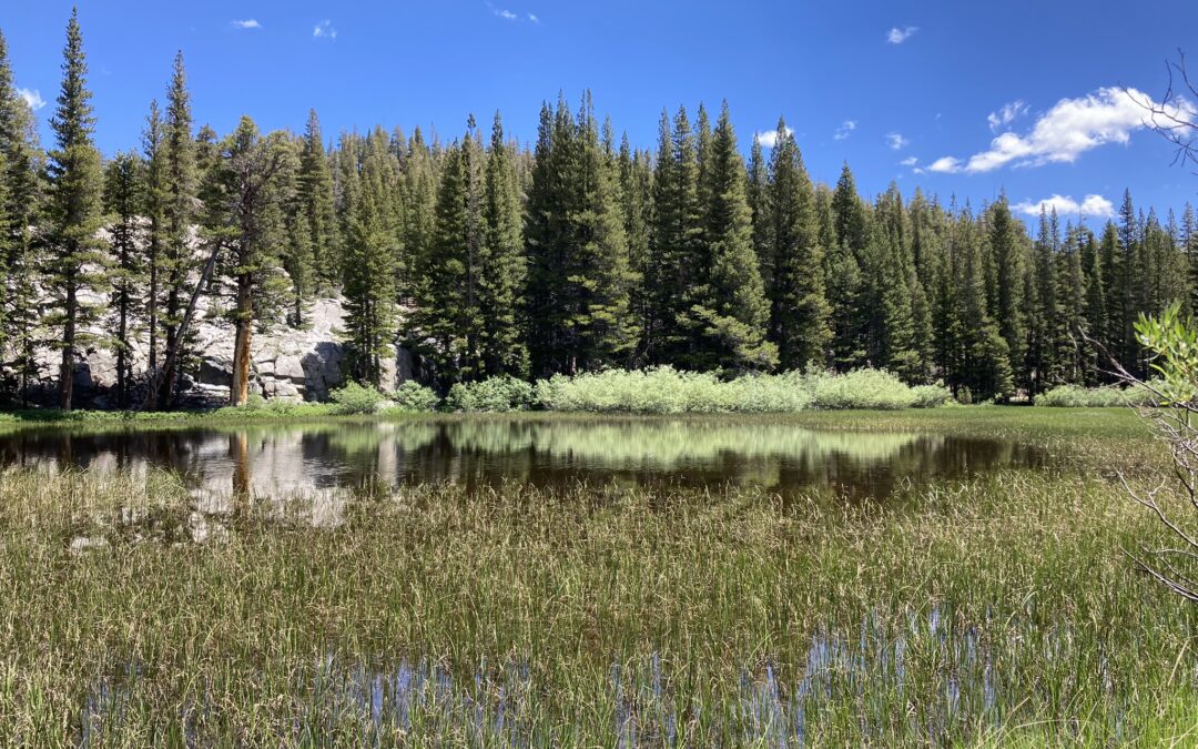 Wetlands & Jurisdictional Waters Permitting