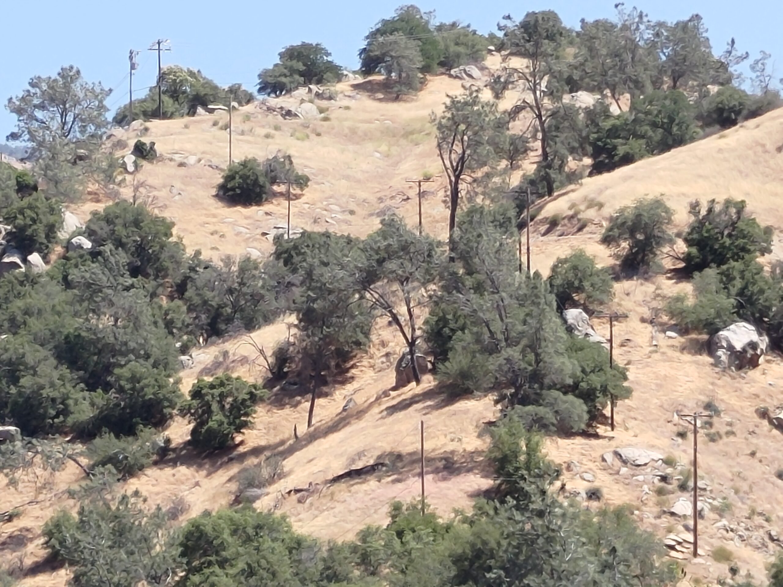 Integrated Pest & Vegetation Management Permitting