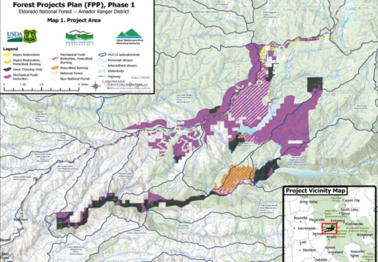 Forest Projects Plan (Phase 1)