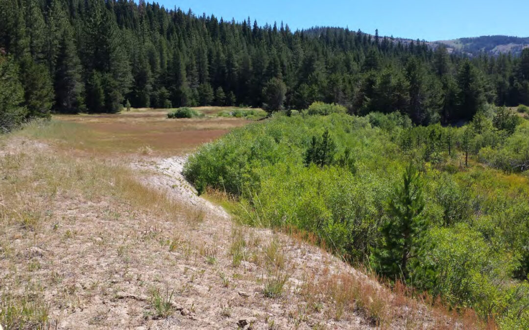 English Meadows Floodplain Enhancement and Restoration Project